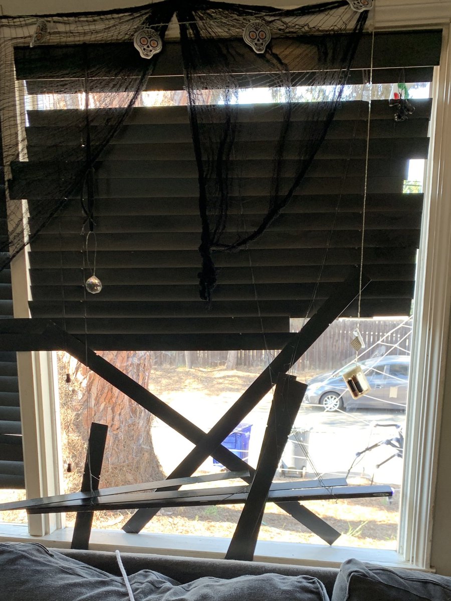 Merlot the Weimaraner