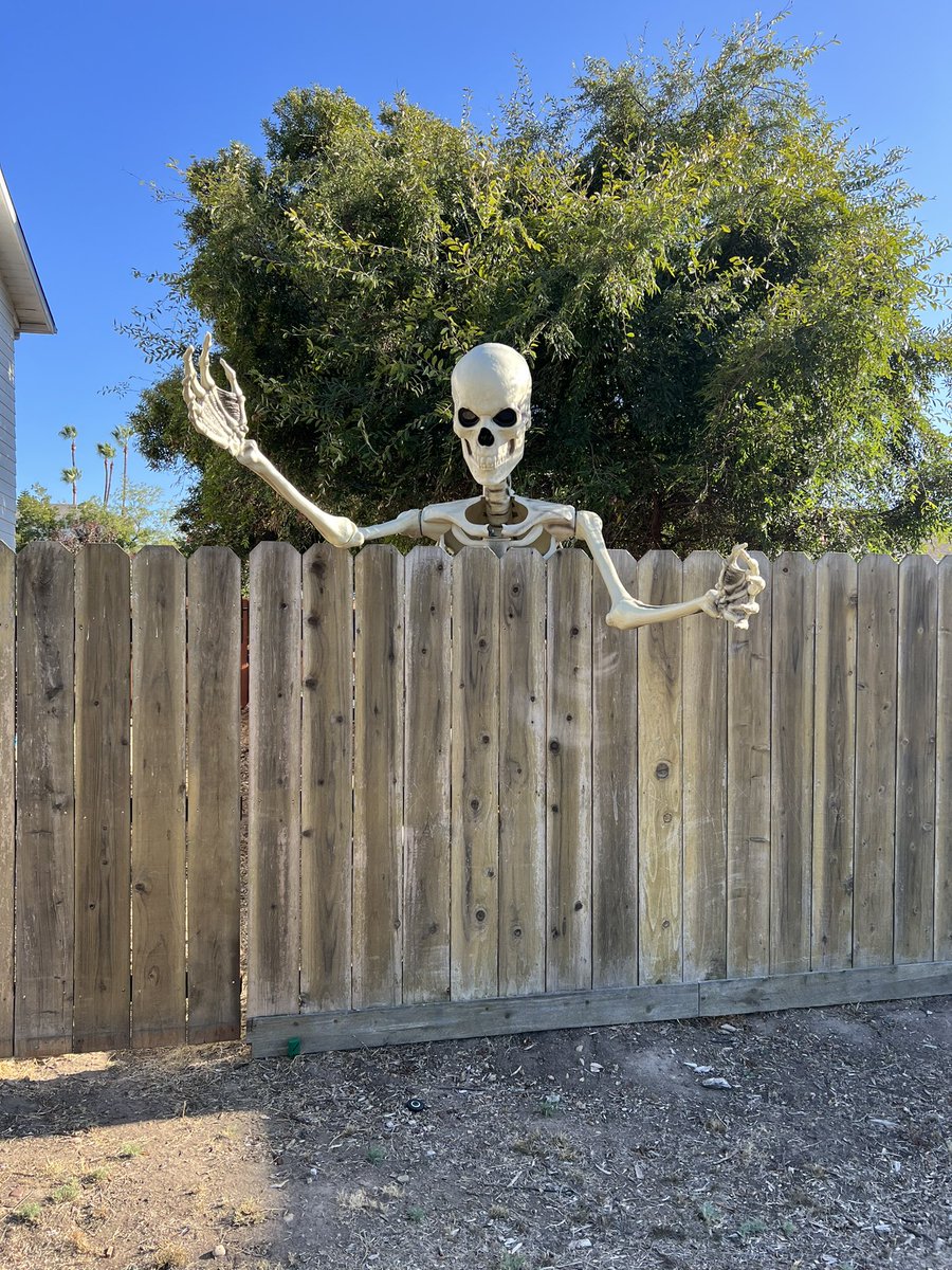 The 12ft Skeleton