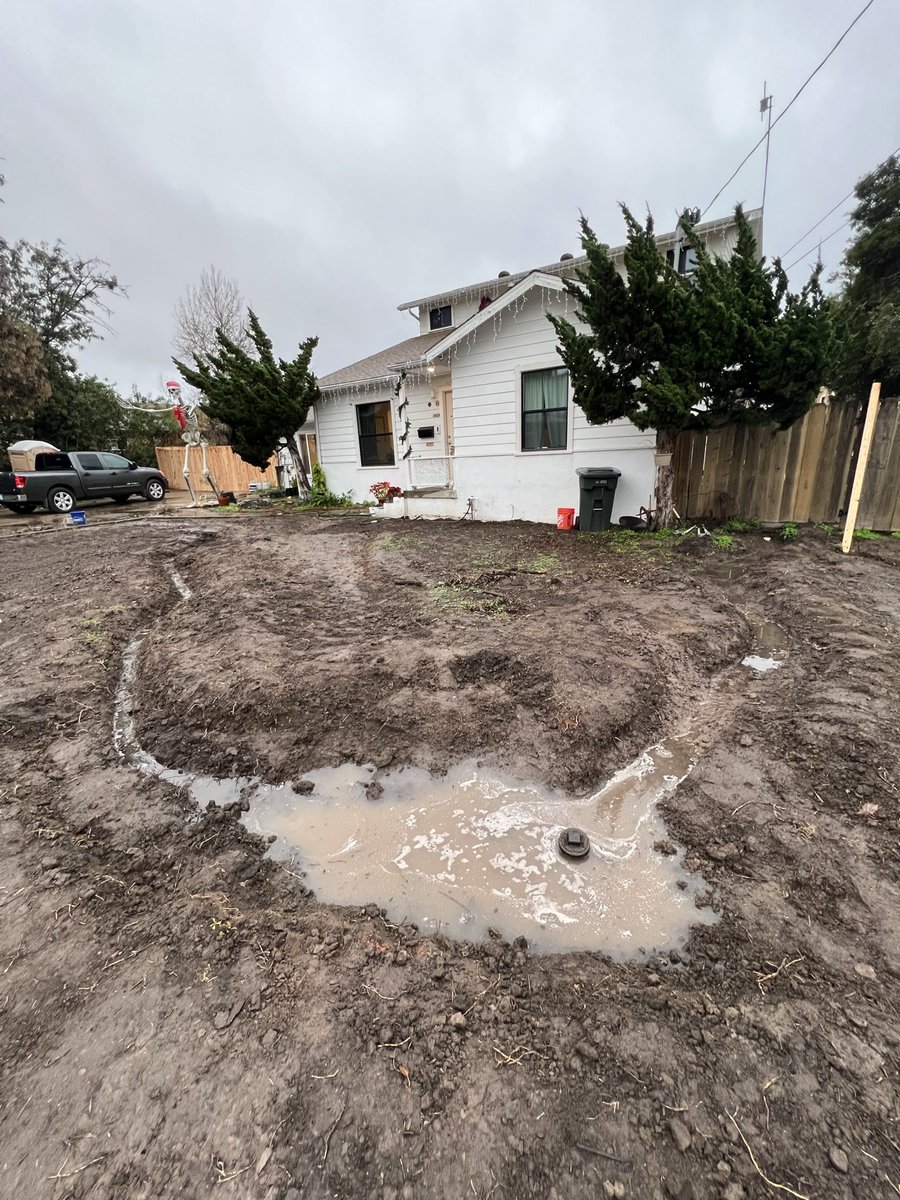 The Front Yard Project