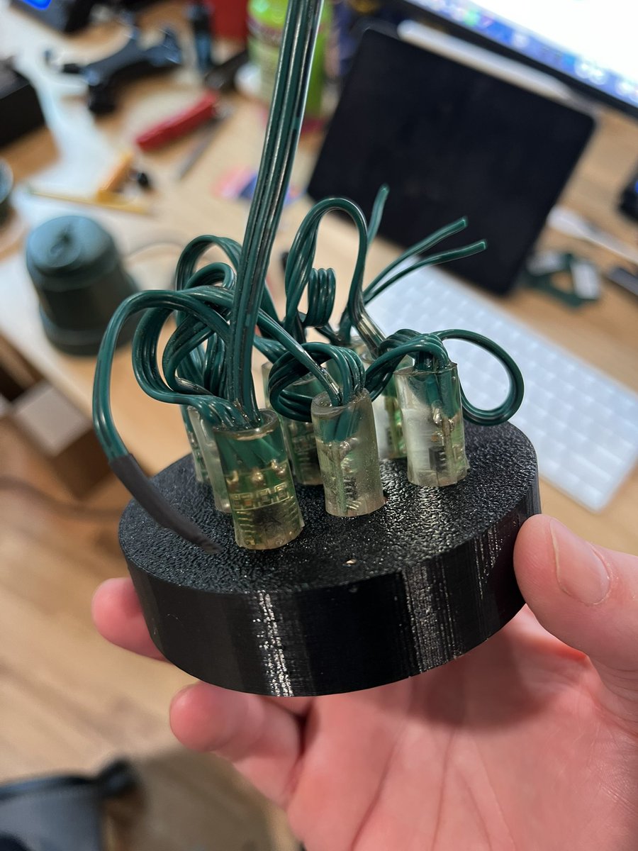 The Great Christmas Tree Experiment