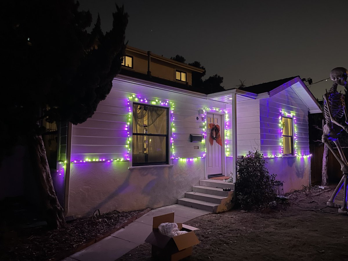 The Great Christmas Tree Experiment