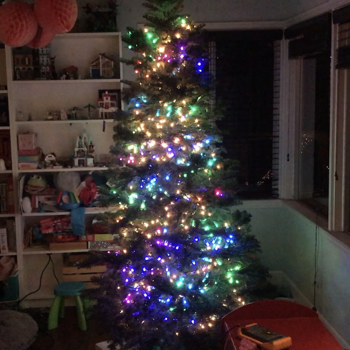 The Great Christmas Tree Experiment