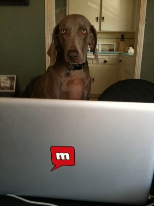The Twitpic Archive